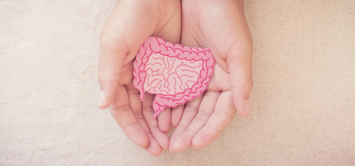 The Health Benefits of High-Quality Probiotic Supplements