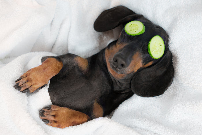 The Importance Of Sleep