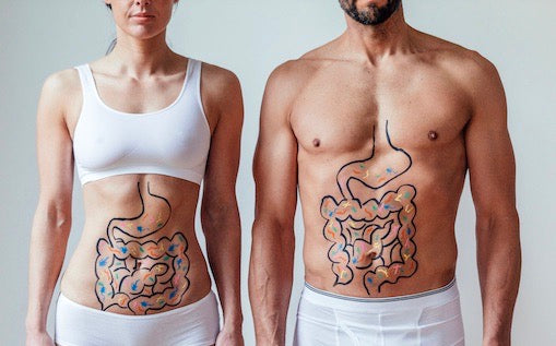 YOUR GUT, YOUR IMMUNE SYSTEM & COVID-19
