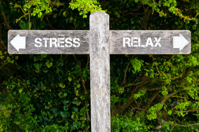 What Do Baths And Resilience Have In Common?
