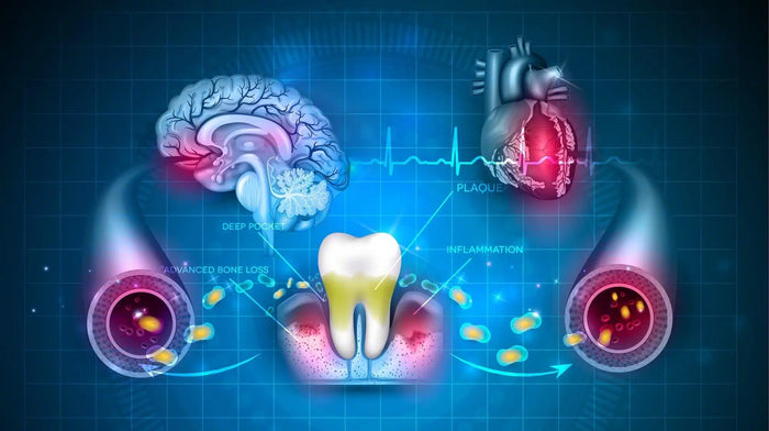 Your Gums Are Not Just About Teeth