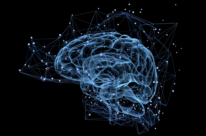 Understanding Type 3 Diabetes: Impact of Insulin Resistance on Cognitive Function and Lifestyle Changes for Brain Health