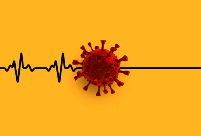 COVID-19 Virus Infects Coronary Vasculature