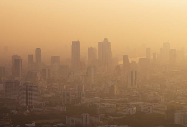 Stroke, High BP Don't Mediate Pollution's Link to Dementia