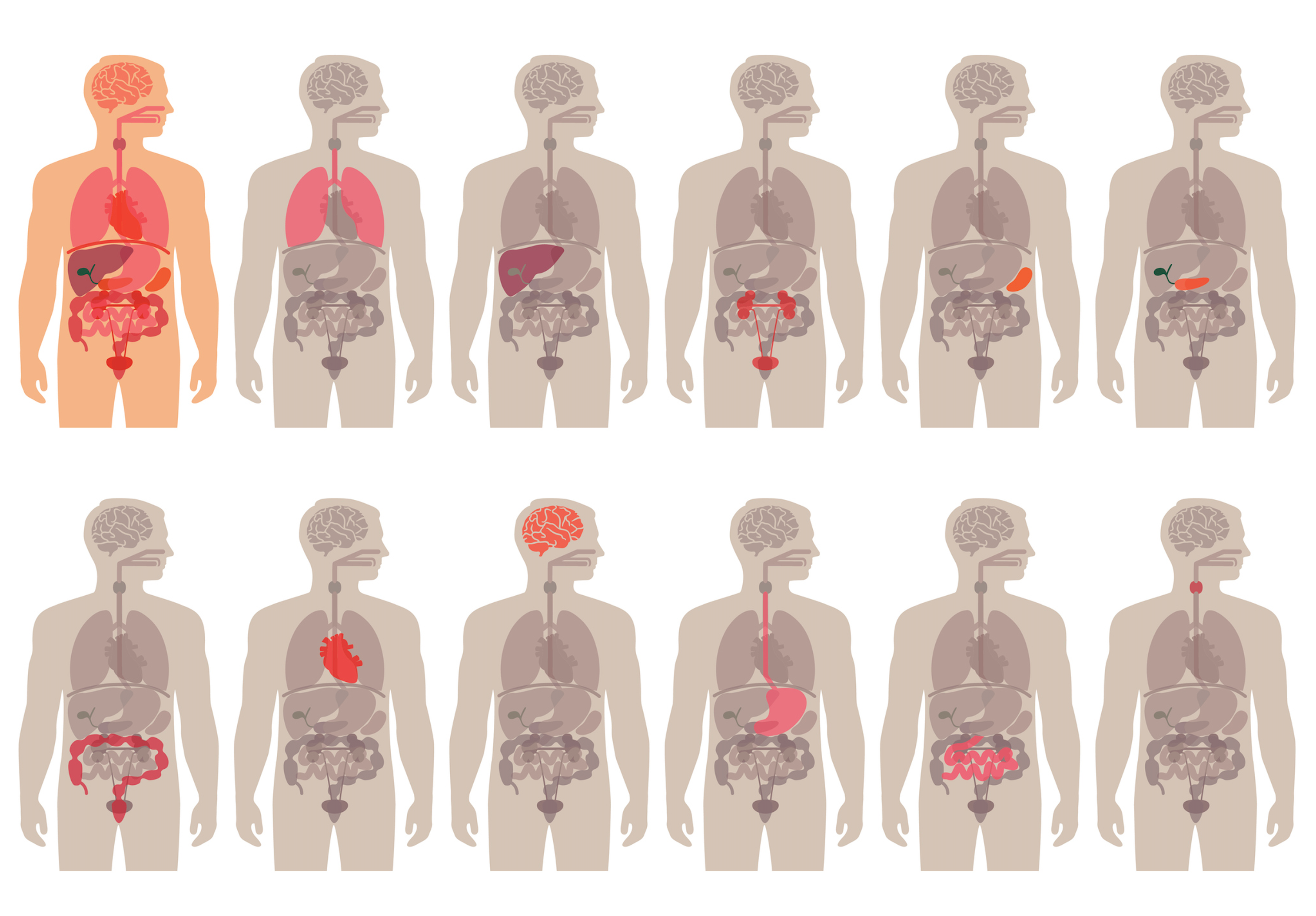 Reset Your Health From The Inside Out