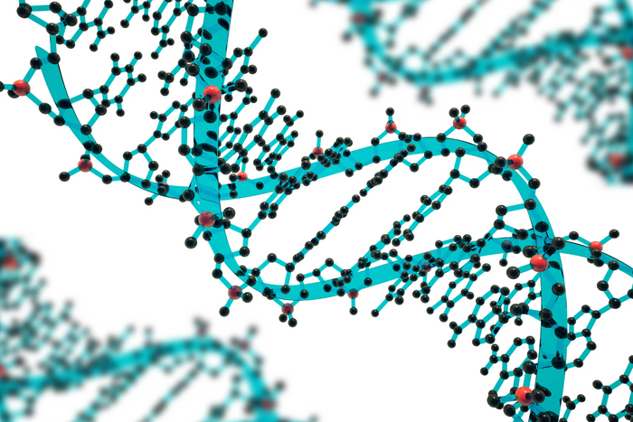 The MTHFR Gene: Metabolism, Mood, and More
