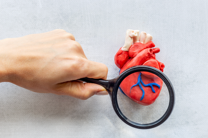 Visceral Fat - The Hidden Threat to Your Heart