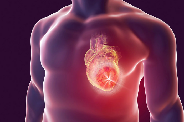 Why Heart Health Starts With Your Metabolism
