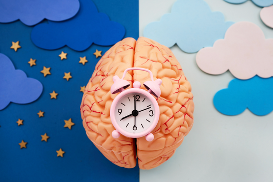 Circadian Rhythm Chrono Nutrition