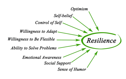 RESILIENCE: HABITS OF MENTALLY STRONG PEOPLE