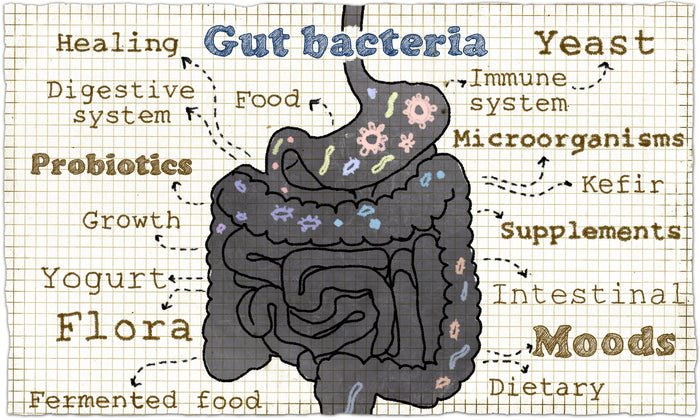 Boosting Your Immune System