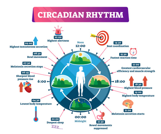 Managing your circadian rhythm