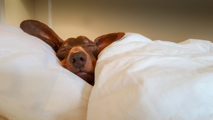 Practical Strategies for Enhancing Sleep