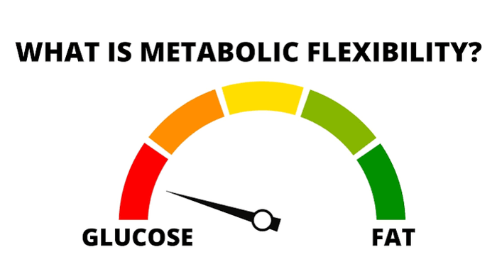 Is Ketosis and Metabolic Flexibility the Same Thing?