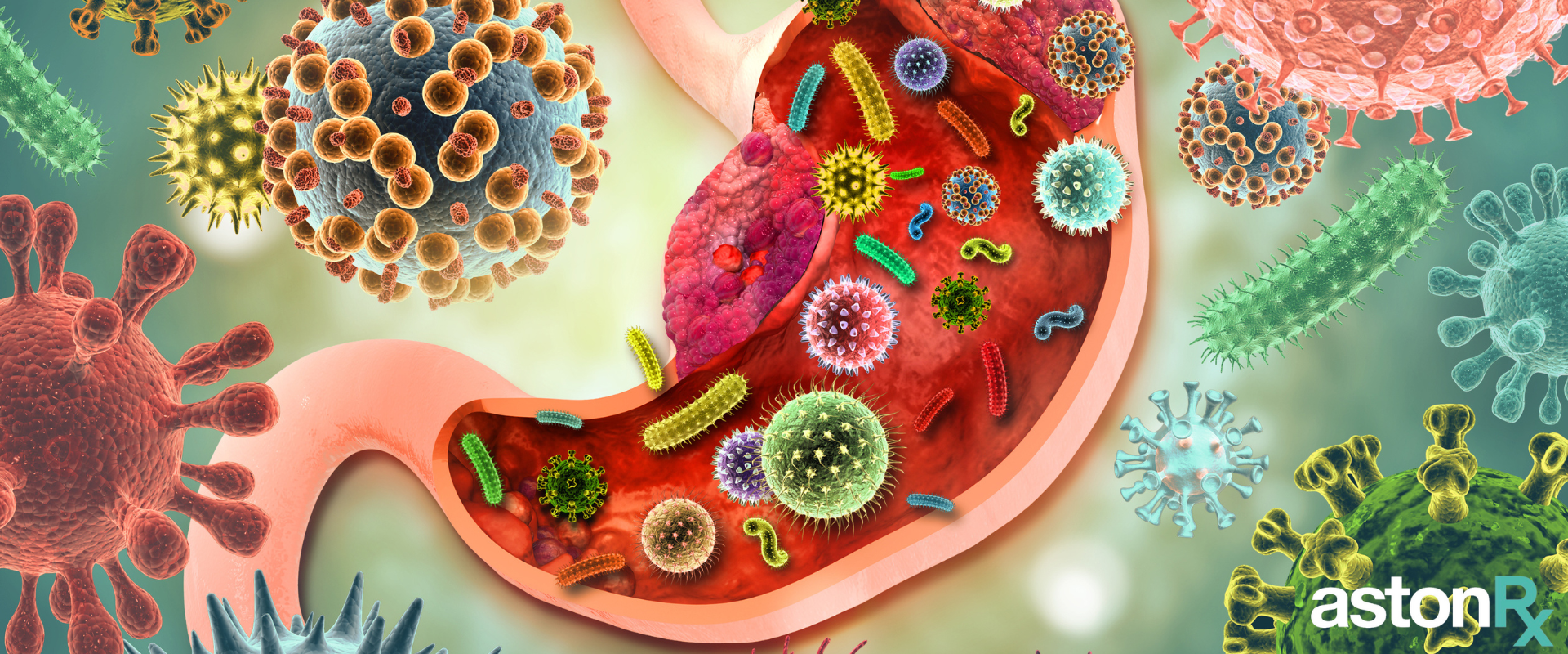 Super-charge your Gut Health: Your guide to helping build your gut hea
