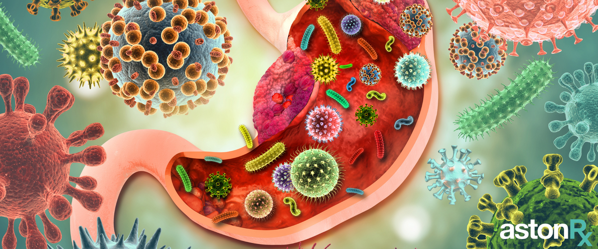 Super-charge your Gut Health: Your guide to helping build your gut hea