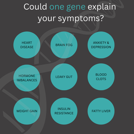 MTHFR Gene Mutation pathology